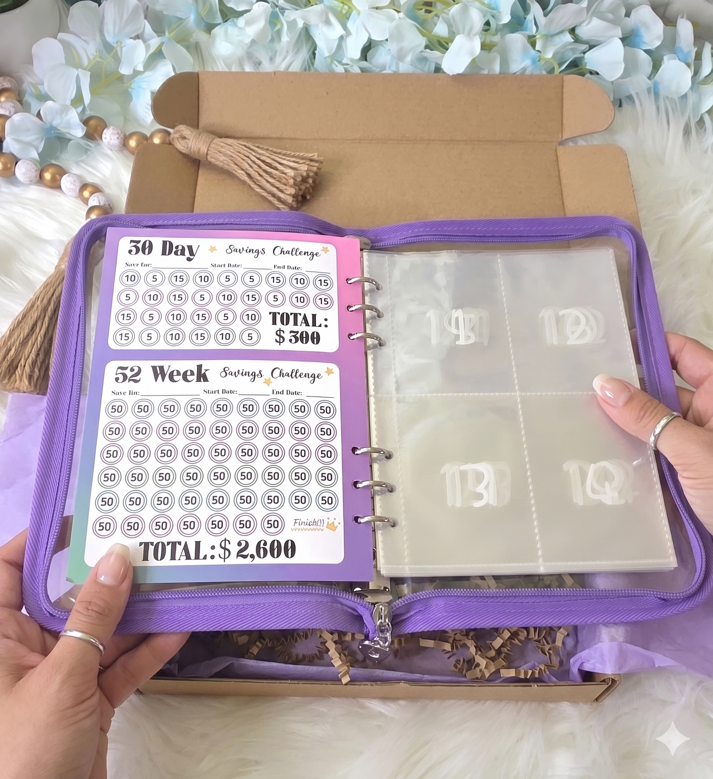 100 Envelope Savings Challenge