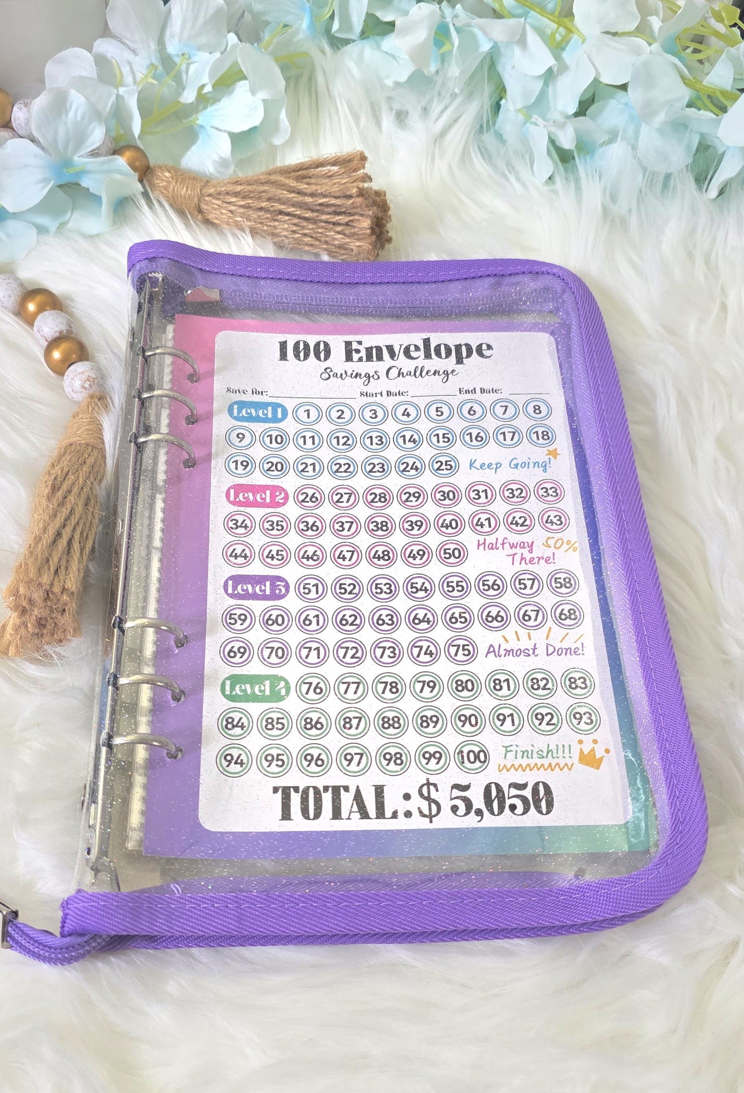 100 Envelope Savings Challenge
