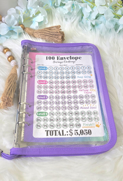 100 Envelope Savings Challenge