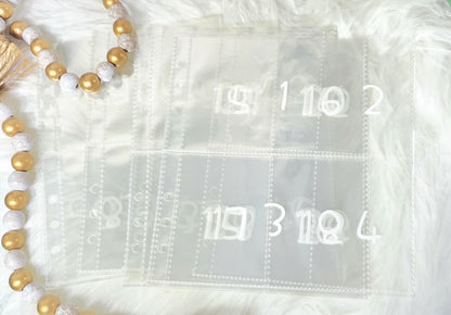 100 Envelope Savings Challenge