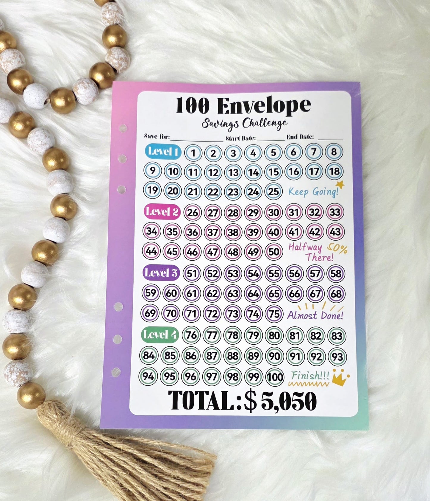 100 Envelope Savings Challenge